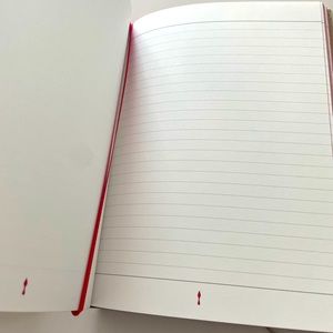 Authentic Christmas Louboutin notebook journal